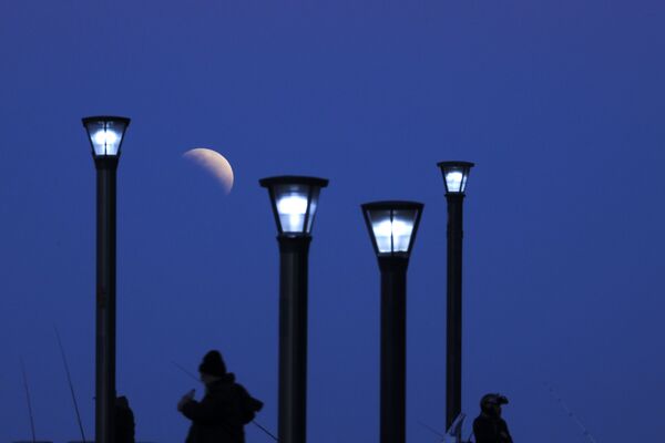Homem observa eclipse lunar parcial em Buenos Aires - Sputnik Brasil