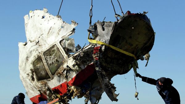 Trabalhadores locais transportam pedaço de destroços do voo MH17 da Malaysia Airlines no local do acidente no leste da Ucrânia, 20 de novembro de 2014 - Sputnik Brasil