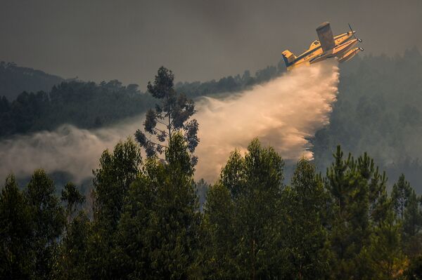 Avião de combate a incêndios despeja água em Relva, no centro de Portugal, 21 de julho de 2019 - Sputnik Brasil