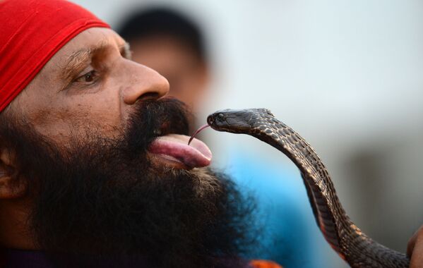 Um homem indiano durante show de rua com serpente, Allahabad, Índia - Sputnik Brasil