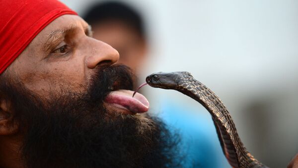 Um homem indiano durante show de rua com serpente, Allahabad, Índia - Sputnik Brasil