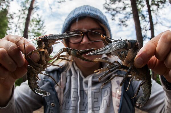Menina com lagostins, lago Beloe, Rússia - Sputnik Brasil