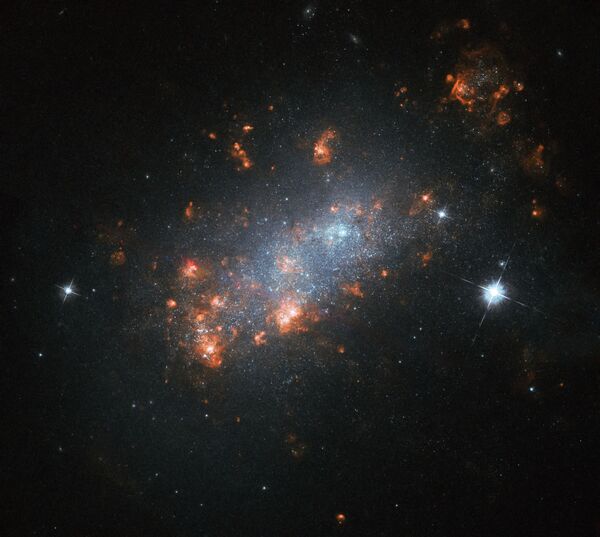 Galáxia NGC 1156 na constelação de Áries - Sputnik Brasil