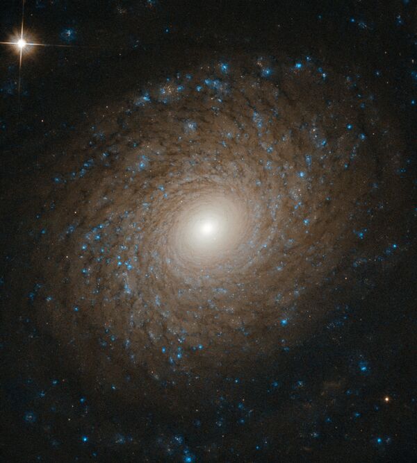 Galáxia espiral NGC 2985 na constelação da Ursa Maior - Sputnik Brasil