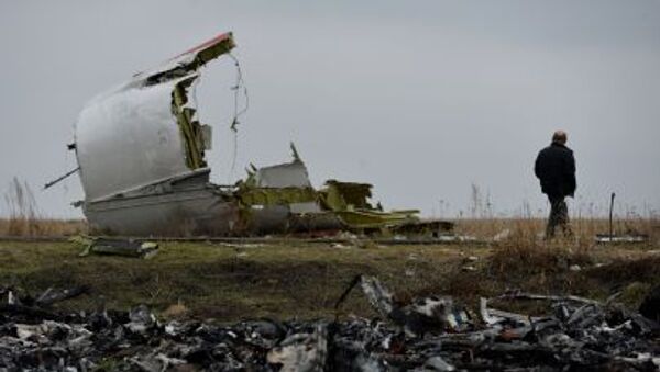 Destroços do voo MH17 - Sputnik Brasil