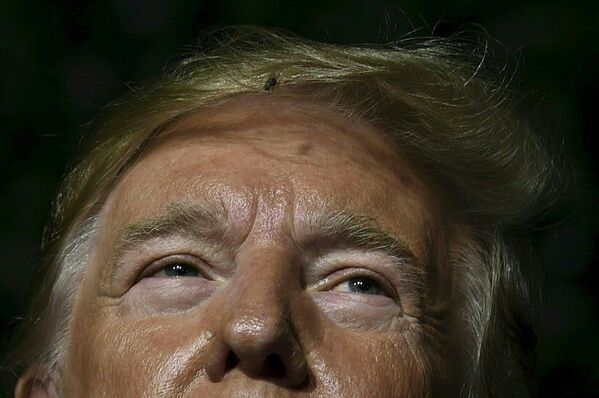 Mosca no cabelo do presidente norte-americano Donald Trump
 - Sputnik Brasil