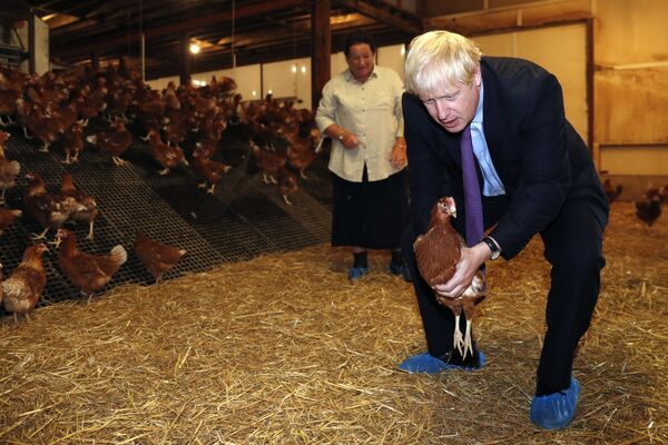 Primeiro-ministro britânico, Boris Johnson, com uma galinha nas mãos
 - Sputnik Brasil