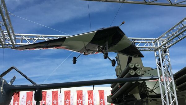 Maquete do drone Caçador - Sputnik Brasil