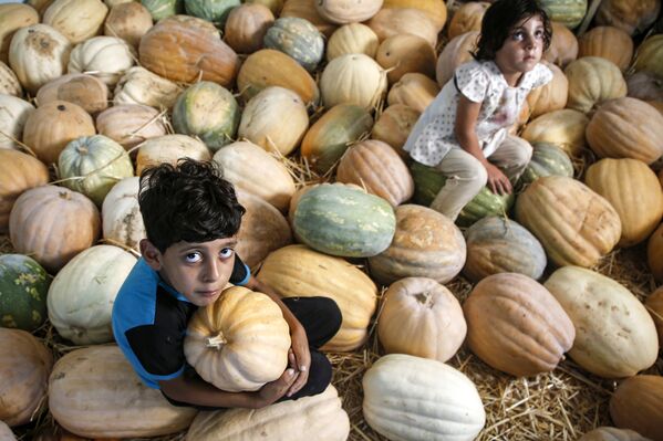 Crianças palestinas na safra de abóbadas na cidade de Beit Lahia, no norte da Faixa de Gaza
 - Sputnik Brasil