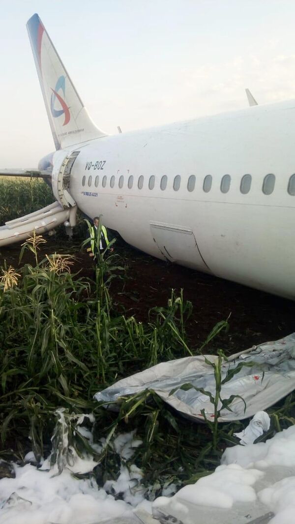 Consequências do pouso forçado do avião A321 na região de Moscou - Sputnik Brasil
