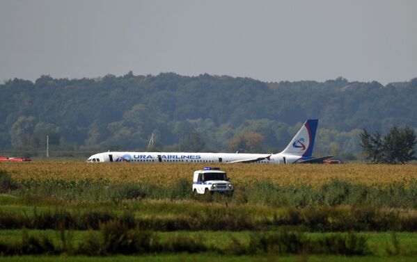 Avião da companhia aérea Ural Airlines visto de longe após pouso de emergência - Sputnik Brasil