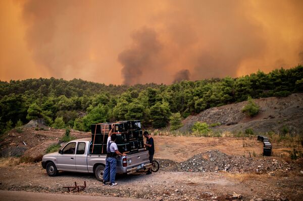 Fazendeiros durante incêndio florestal na ilha de Eubeia, Grécia - Sputnik Brasil