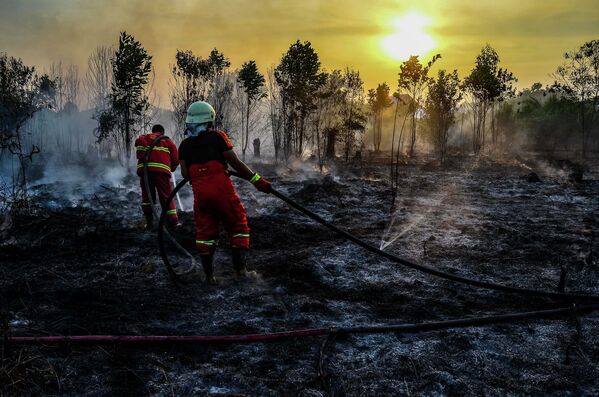 Bombeiros apagando incêndios em Sumatra, Indonésia - Sputnik Brasil