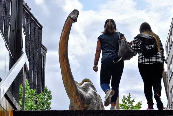 Mulheres passando ao lado de réplica de tamanho real do dinossauro Diplodoco no centro da cidade de Bochum, Alemanha - Sputnik Brasil