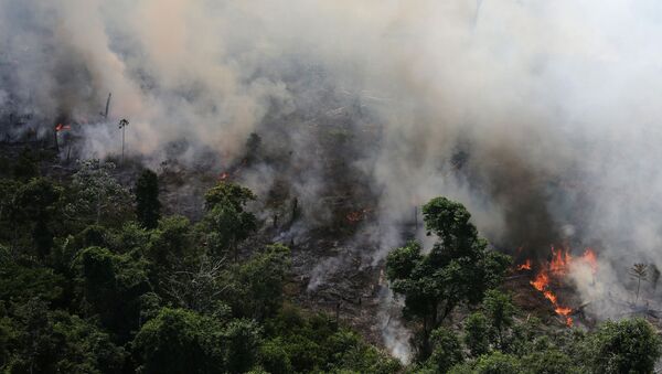 Imagem de queimada na Amazônia, na cidade de Novo Progresso, Pará. - Sputnik Brasil