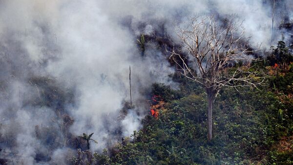Imagem de queimada na Amazônia, no município Porto Velho, Rondônia - Sputnik Brasil