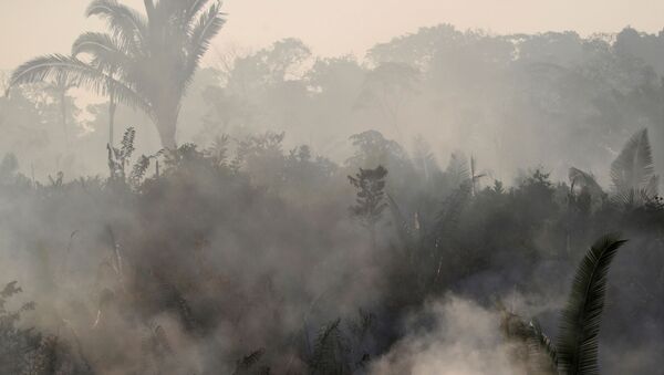 Imagem de queimada na Amazônia - Sputnik Brasil