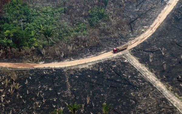 Vista de cima das queimadas na Amazônia - Sputnik Brasil