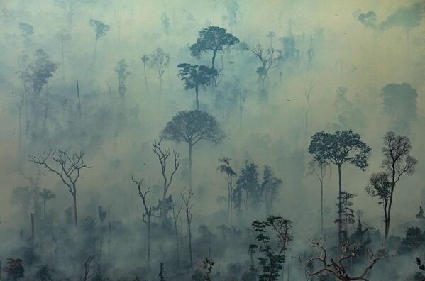 Floresta Amazônica coberta por uma capa de fumaça, em consequência dos incêndios que vêm devastando a maior floresta tropical do mundo - Sputnik Brasil