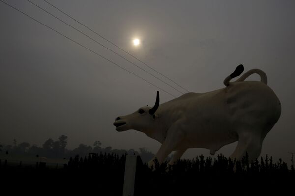 Escultura de um touro com fumaça ao fundo - Sputnik Brasil