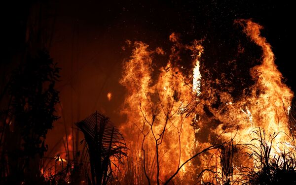 Incêndios florestais no território brasileiro da Amazônia  - Sputnik Brasil