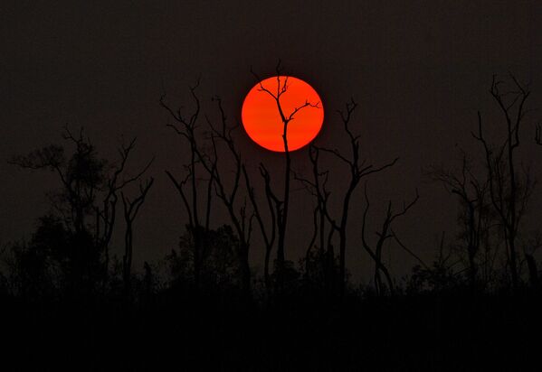 Pôr do sol sobre a floresta queimada na Amazônia brasileira - Sputnik Brasil