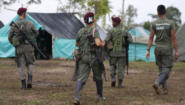Revolutionary Armed Forces of Colombia, FARC, rebels walk in their camp in La Carmelita near Puerto Asis in Colombia's southwestern state of Putumayo, Tuesday, Feb. 28, 2017 - Sputnik Brasil