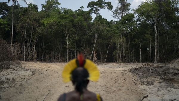 O chefe indígena Kadjyre Kayapo, da etnia Krimej, observa área desmatada da Amazônia na cidade de Altamira, no Pará. - Sputnik Brasil