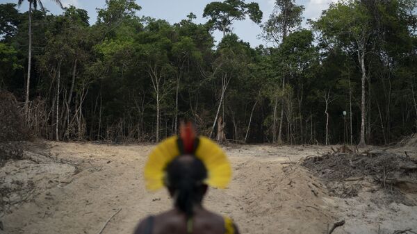 O chefe indígena Kadjyre Kayapó, da etnia Krimej, observa área desmatada da Amazônia na cidade de Altamira (PA) - Sputnik Brasil