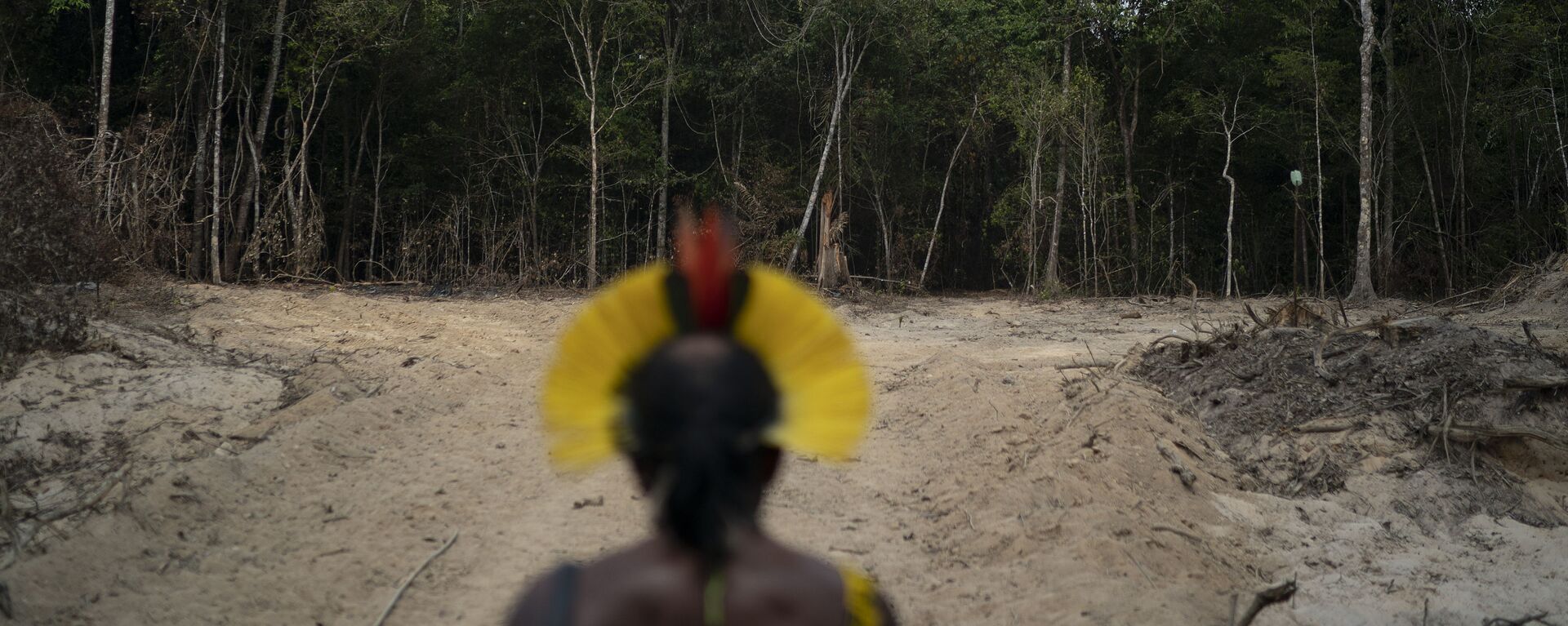O chefe indígena Kadjyre Kayapó, da etnia Krimej, observa área desmatada da Amazônia na cidade de Altamira (PA) - Sputnik Brasil, 1920, 04.04.2024