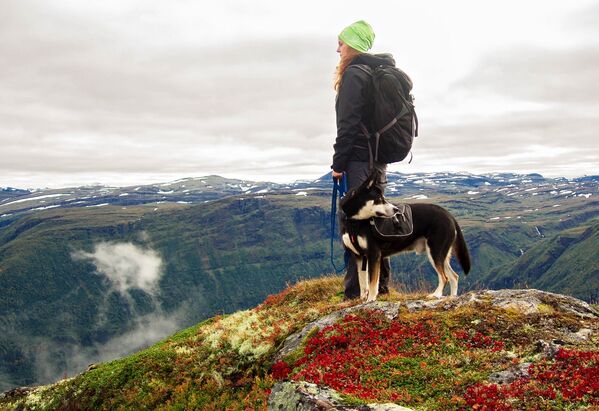 Turista com cachorro nas montanhas da Noruega - Sputnik Brasil