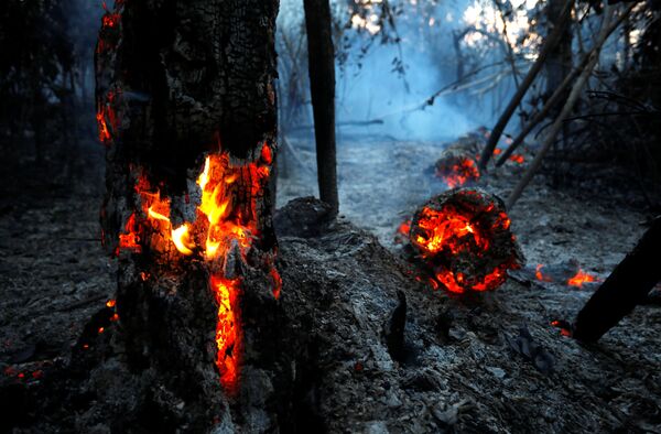Incêndio é visto em um trecho da selva amazônica em Itapuã do Oeste, no estado de Rondônia, Brasil, 11 de setembro de 2019 - Sputnik Brasil