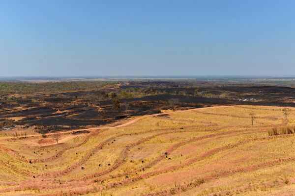 Área desmatada e queimada, vista em território indígena, é usada como pasto para gado em Areões, Mato Grosso, Brasil, 4 de setembro de 2019 - Sputnik Brasil