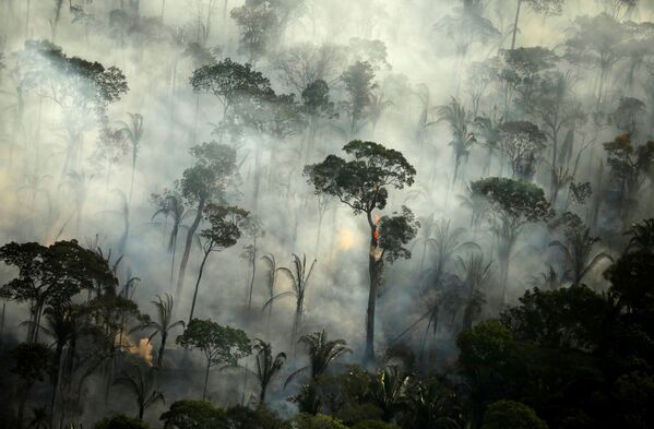 Fumaça densa causada por incêndio em área da floresta amazônica perto de Porto Velho, estado de Rondônia, Brasil, 10 de setembro de 2019 - Sputnik Brasil