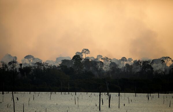 Fumaça durante incêndio em área da floresta amazônica em Itapuã do Oeste, no estado de Rondônia, Brasil, 11 de setembro de 2019 - Sputnik Brasil