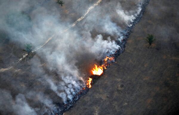 Vista aérea de incêndio em área da floresta amazônica perto de Porto Velho, Rondônia, Brasil, 10 de setembro de 2019 - Sputnik Brasil