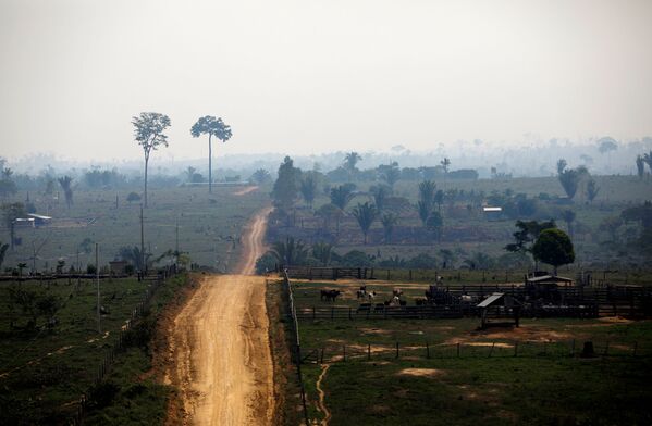 Vista área de aérea desmatada na Floresta Nacional do Bom Futuro, estado de Rondônia, Brasil, 12 de setembro de 2019 - Sputnik Brasil
