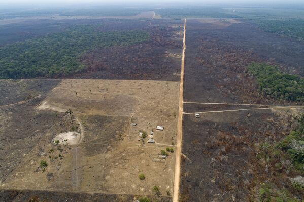 Território recentemente queimado e desmatado por pecuaristas no estado do Amazonas, Brasil, 2 de setembro de 2019 - Sputnik Brasil