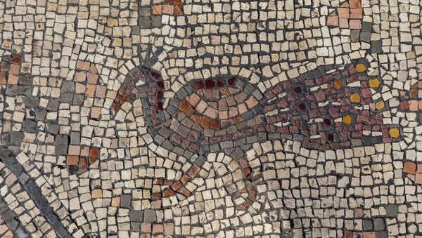 Mosaico descoberto pelo grupo de arqueólogos do Instituto Zinman - Sputnik Brasil