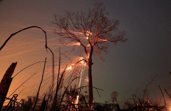 Trecho queimado da selva amazônica sendo desmatado por fazendeiros em Rio Pardo, Rondônia, Brasil, 15 de setembro de 2019 - Sputnik Brasil
