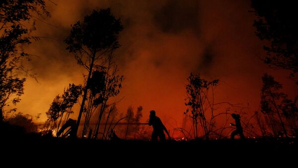 Incêndio florestal na Indonésia, em 14 de setembro de 2019 - Sputnik Brasil