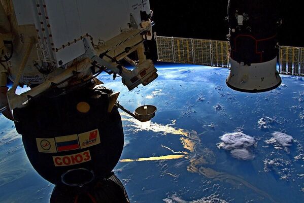 Vista do rio Amazonas a partir da Estação Espacial Internacional - Sputnik Brasil