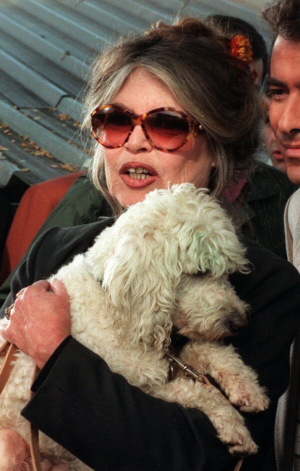 Brigitte Bardot com cachorro na região parisiense, em 1994 - Sputnik Brasil