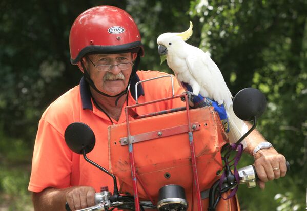 Carteiro australiano faz suas entregas na companhia de seu pássaro de estimação Bob, em Aberdeen - Sputnik Brasil