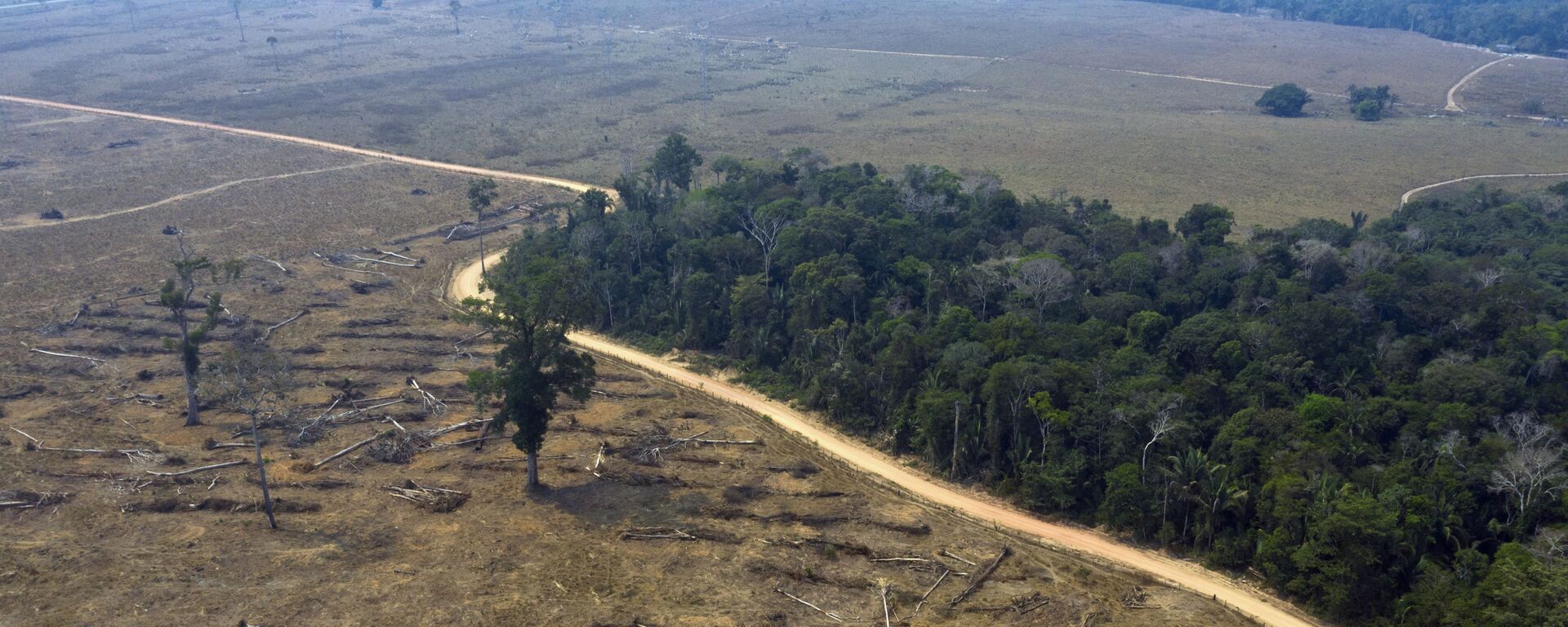 Área desmatada da Amazônia nas proximidades de Porto Velho. - Sputnik Brasil, 1920, 25.10.2019