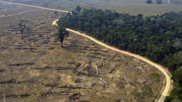 Área desmatada da Amazônia nas proximidades de Porto Velho. - Sputnik Brasil