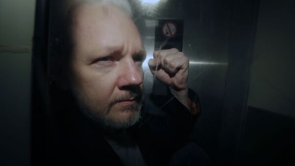 Fundador do WikiLeaks Julian Assange no Reino Unido - Sputnik Brasil