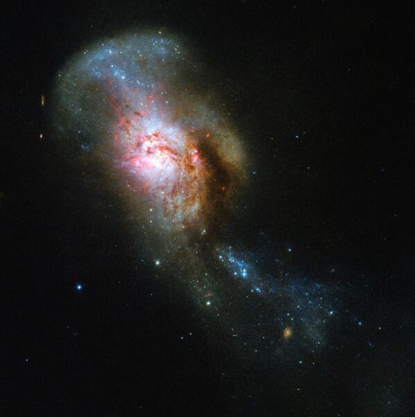 Imagem do objeto NGC 4194, chamado de Fusão da Medusa, obtida com a ajuda do telescópio Hubble - Sputnik Brasil