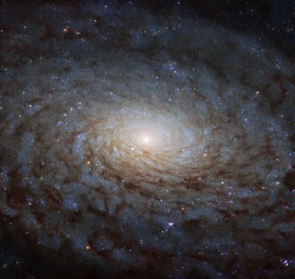 Imagem da galáxia espiral NGC 4380 - Sputnik Brasil