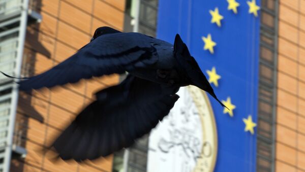 Pombo voa perto de cartaz da União Europeia (imagem referencial) - Sputnik Brasil